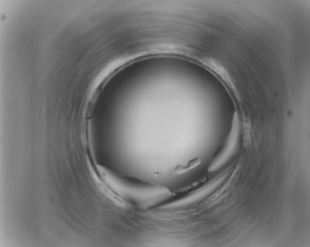 X0000065261342200602242105