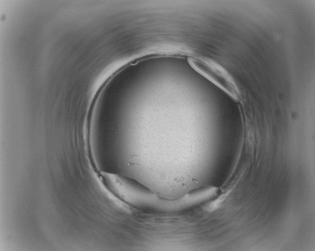 X0000065261343200602242105