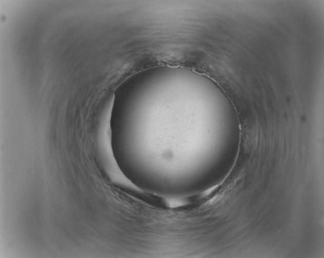 X0000065261345200602242104