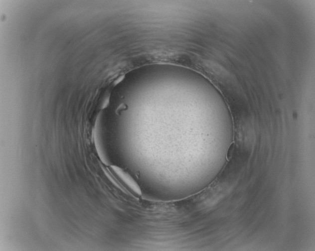 X0000065261346200602242104