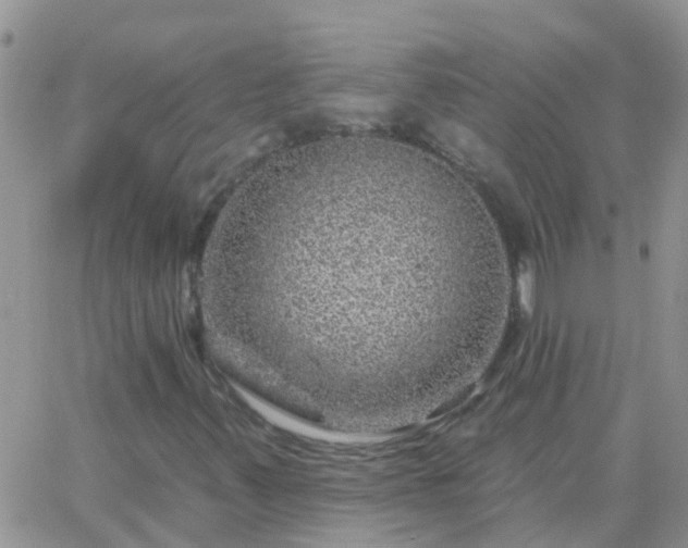 X0000065261347200602242104