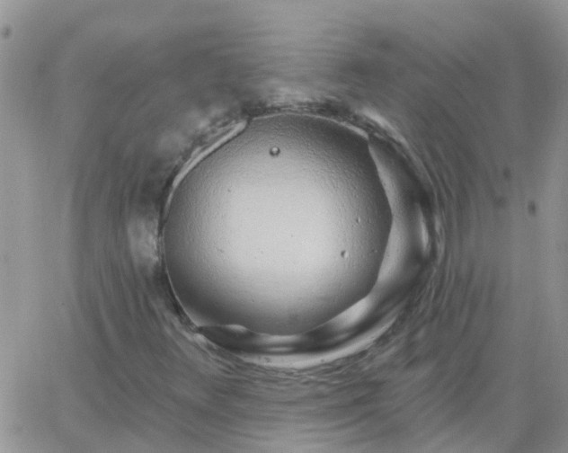 X0000065261348200602242104