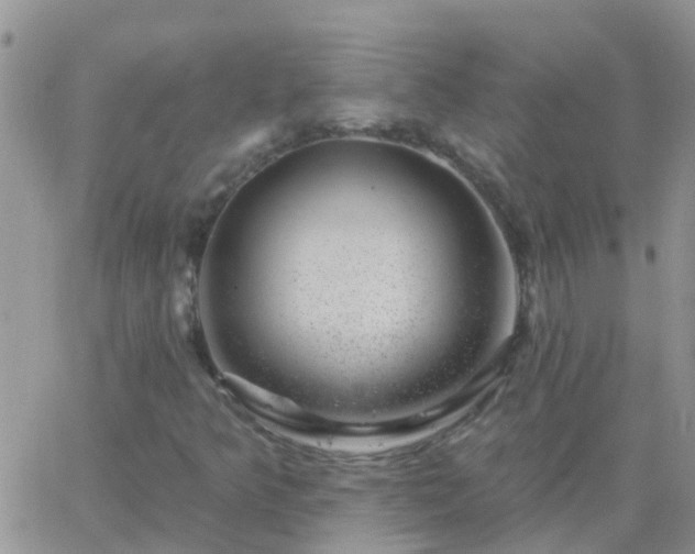 X0000065261349200602242104