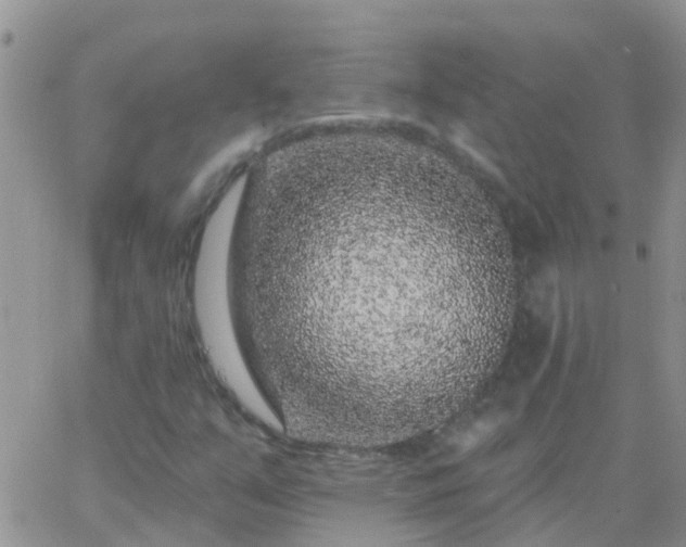 X0000065261351200602242104