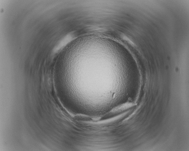 X0000065261354200602242104