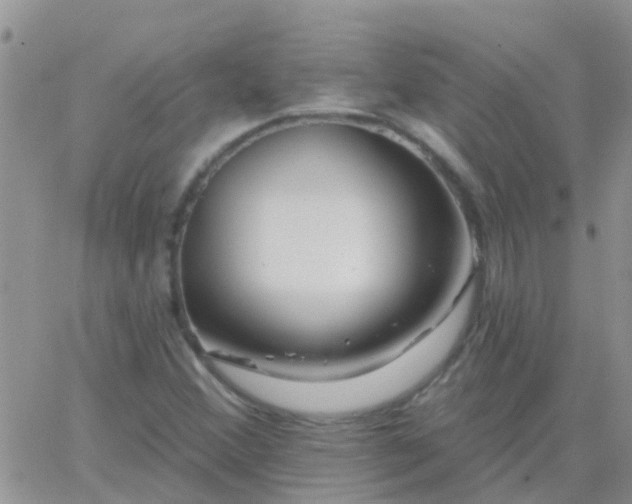 X0000065261356200602242104