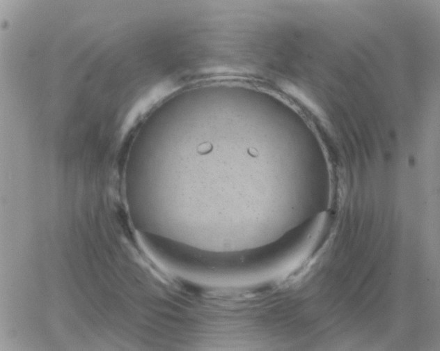 X0000065261357200602242104