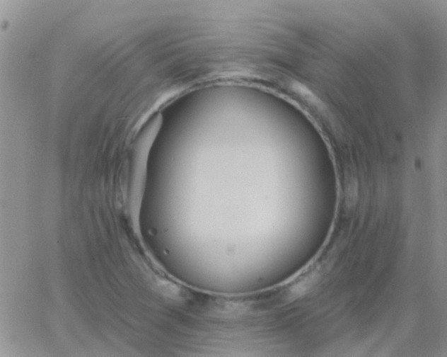 X0000065261361200602242104