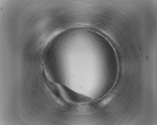 X0000065261363200602242104