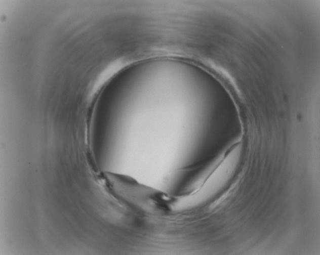 X0000065261365200602242104