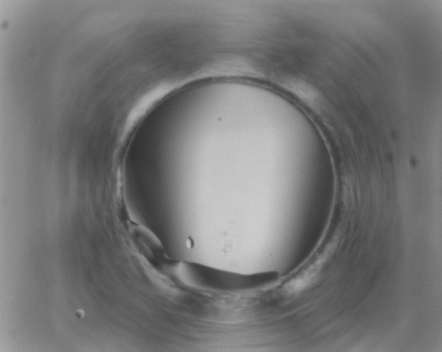 X0000065261366200602242104