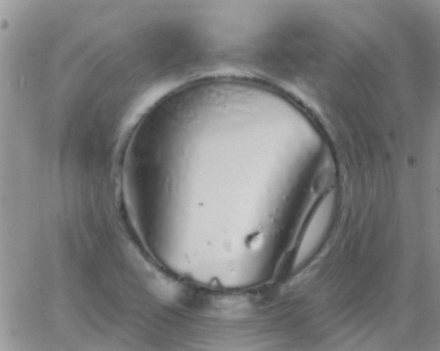 X0000065261367200602242104