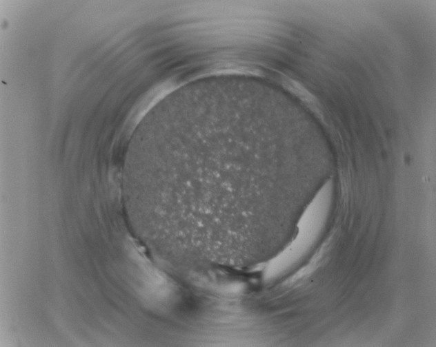 X0000065261369200602242104