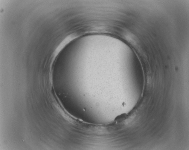 X0000065261370200602242104