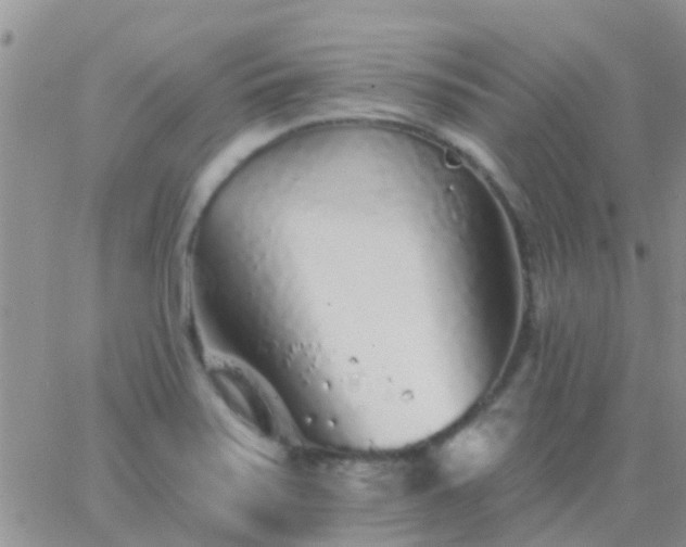 X0000065261371200602242104