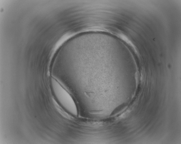 X0000065261372200602242104