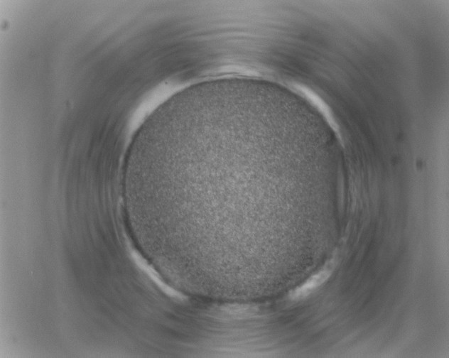 X0000065261373200602242104