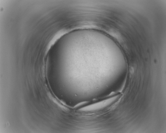 X0000065261374200602242104