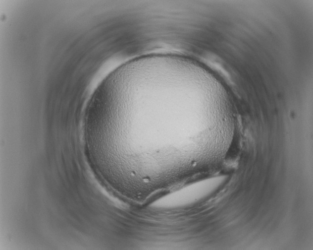 X0000065261375200602242104