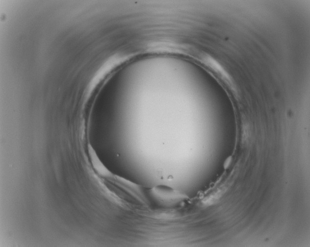 X0000065261376200602242104