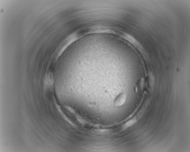 X0000065261377200602242104