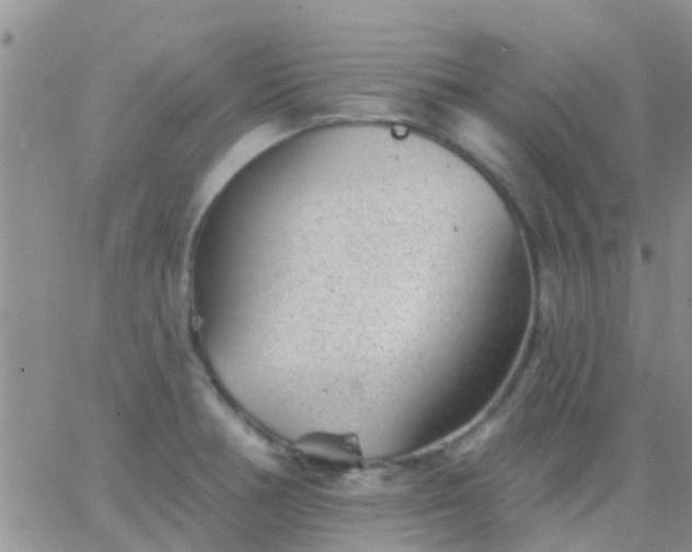 X0000065261378200602242104