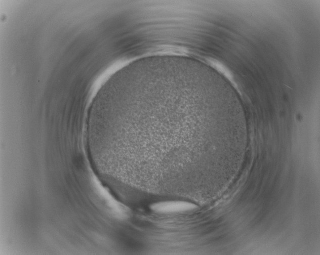 X0000065261379200602242104