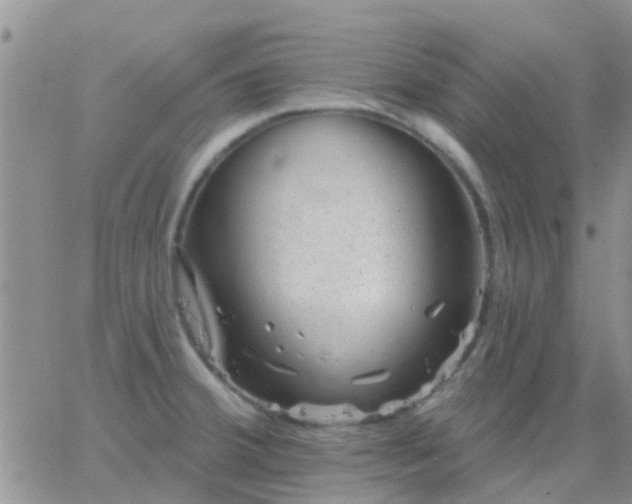 X0000065261380200602242104