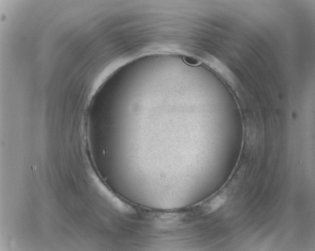 X0000065261382200602242104