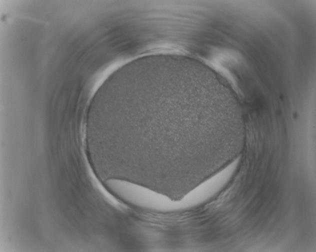 X0000065261383200602242104