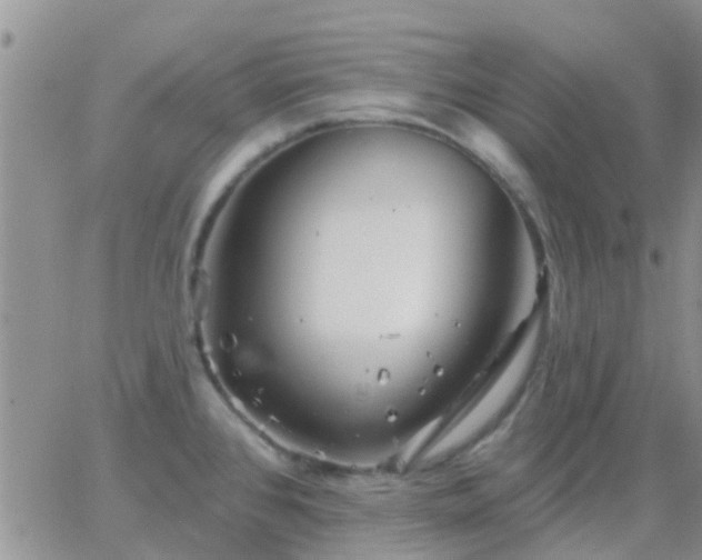 X0000065261384200602242104