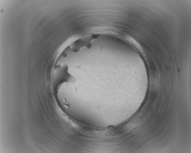 X0000065261386200602242104