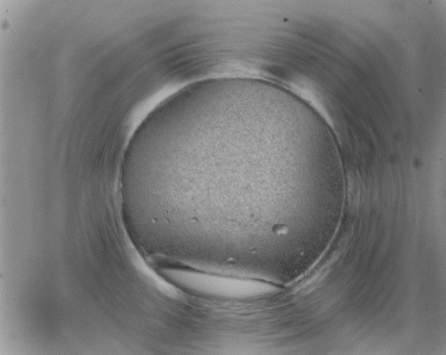 X0000065261387200602242104