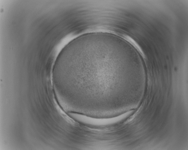 X0000065261388200602242104