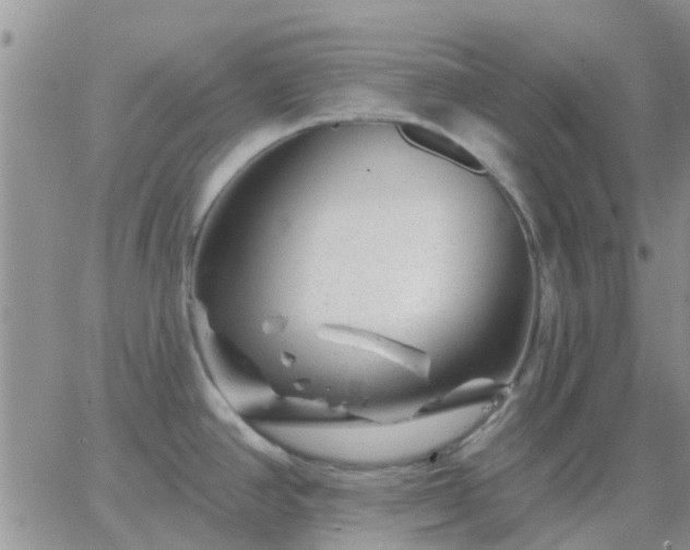 X0000065261390200602242104