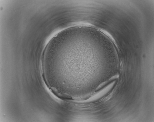 X0000065261391200602242104