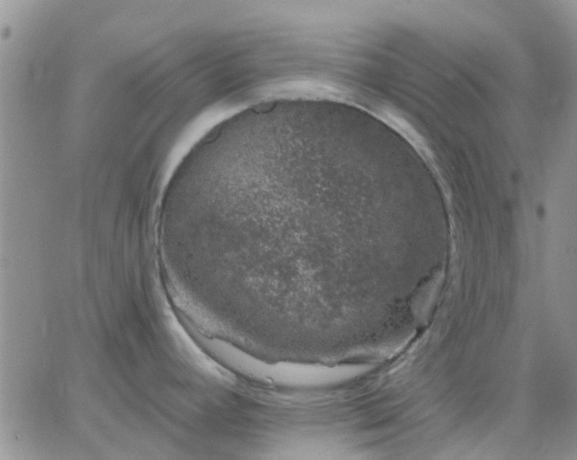 X0000065261392200602242104