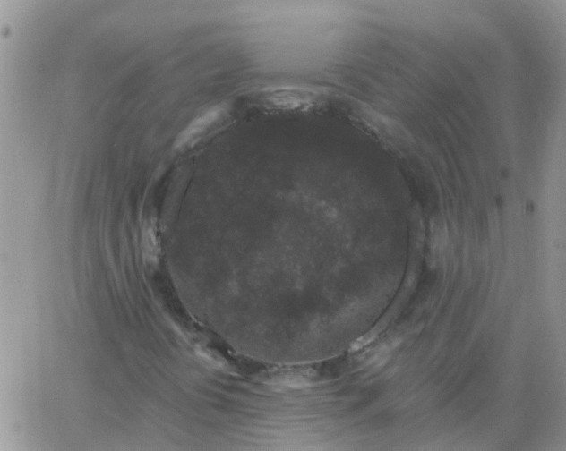 X0000065261394200602242103