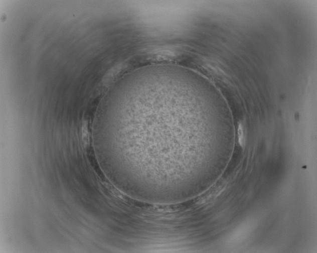 X0000065261395200602242103