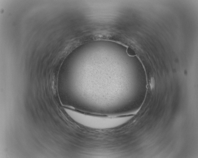 X0000065261396200602242103