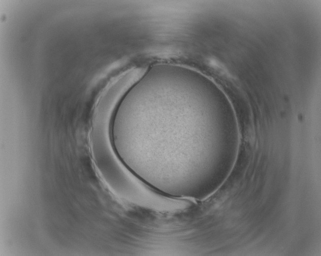 X0000065261398200602242103