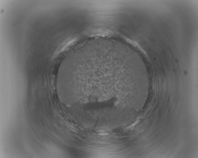 X0000065261399200602242103