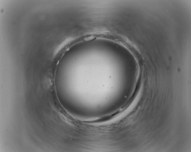 X0000065261400200602242103