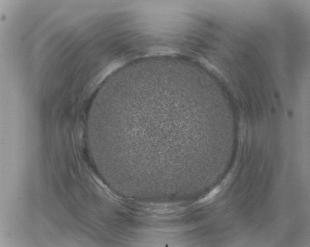 X0000065261401200602242103