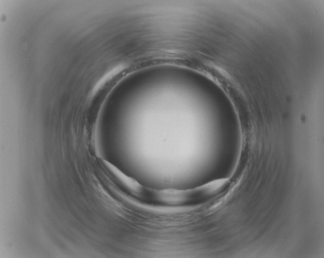 X0000065261402200602242103