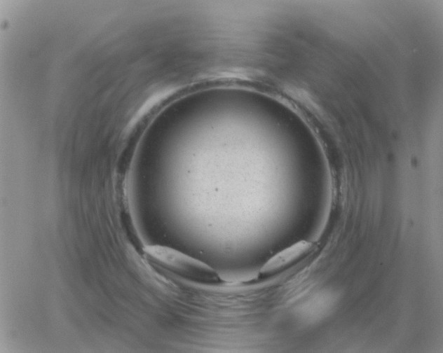 X0000065261404200602242103