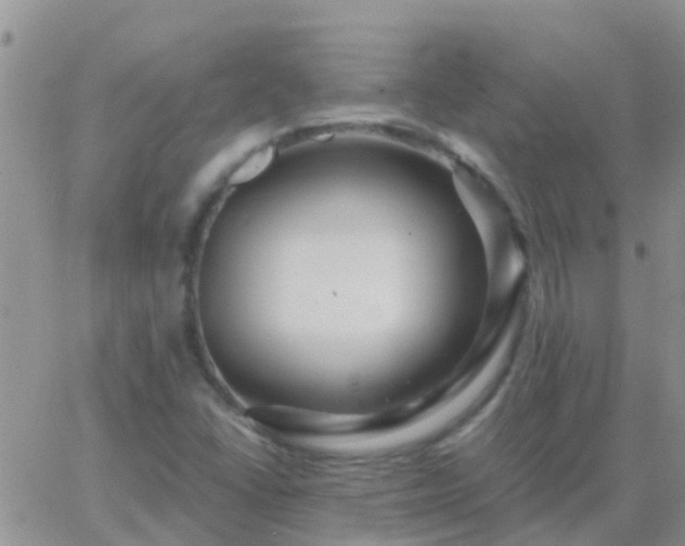 X0000065261406200602242103