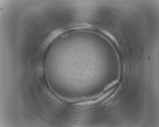 X0000065261407200602242103