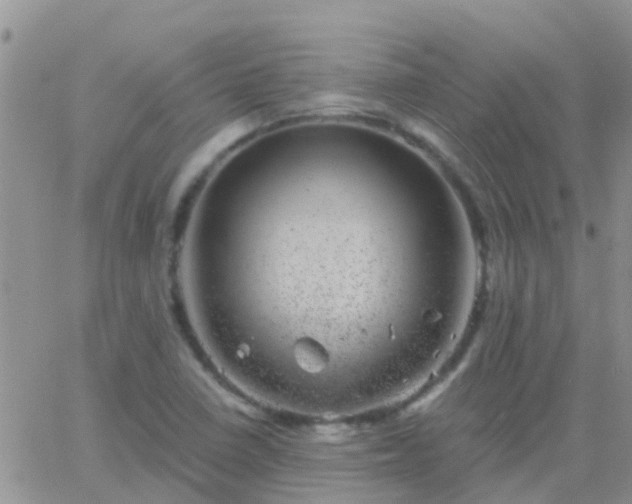 X0000065261410200602242103