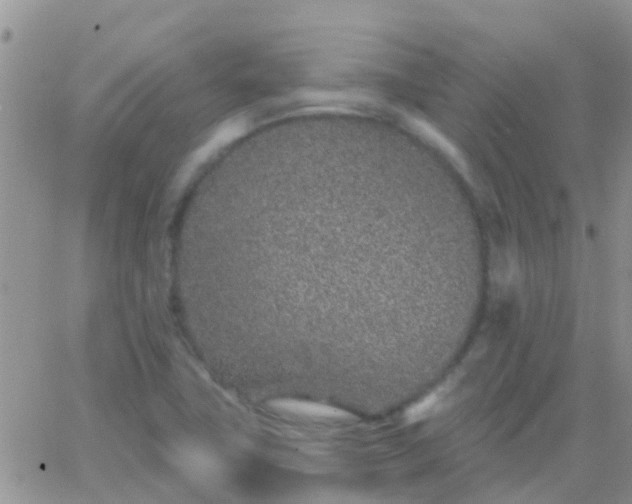 X0000065261411200602242103